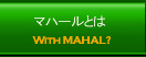 �ޥϡ���Ȥ�